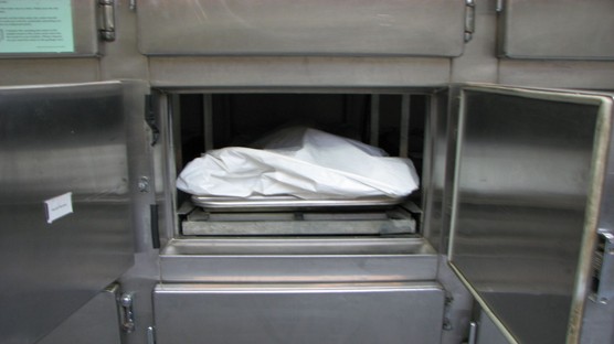 6_1.jpg